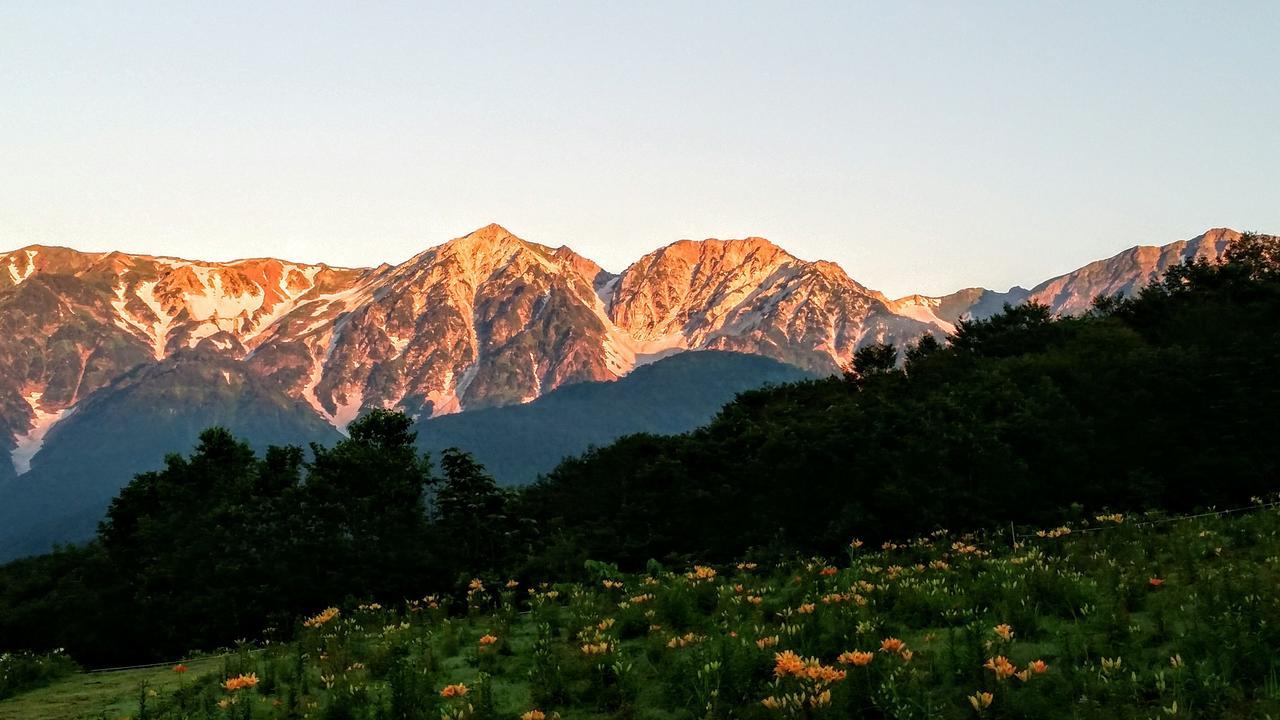 Little Alaskan Guest House Hakuba Exteriér fotografie