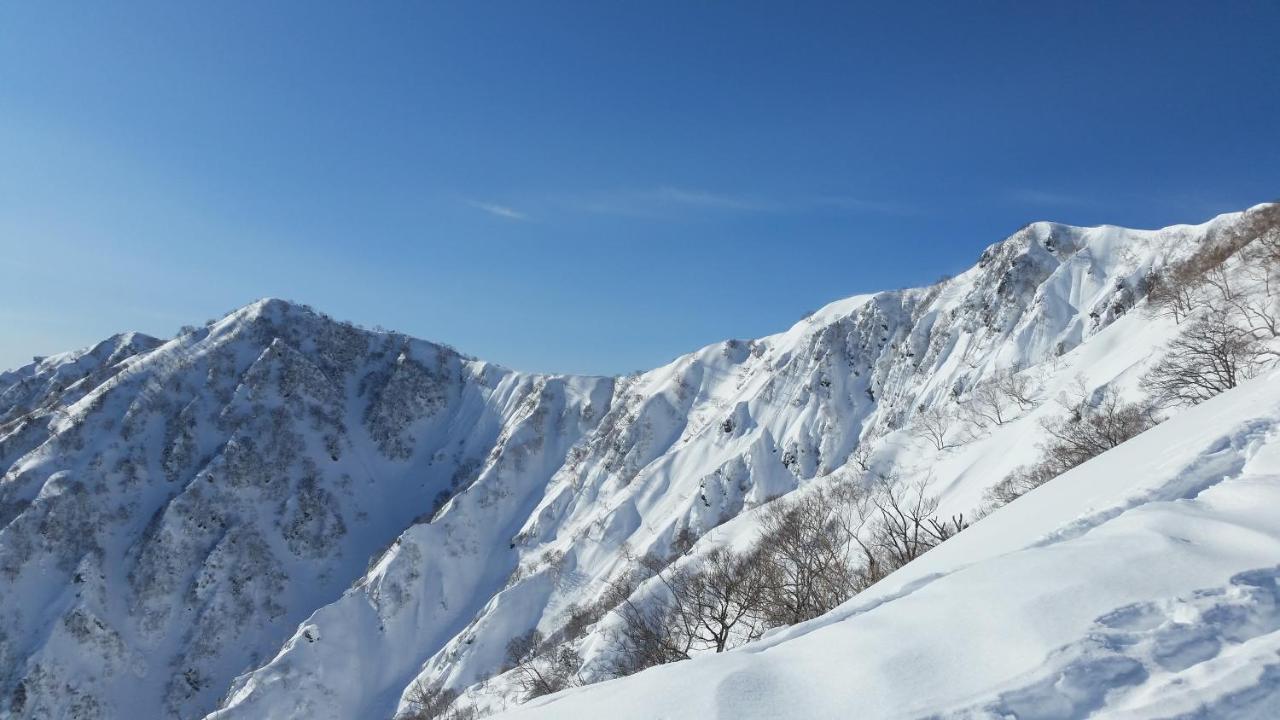Little Alaskan Guest House Hakuba Exteriér fotografie
