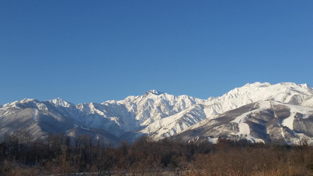 Little Alaskan Guest House Hakuba Exteriér fotografie